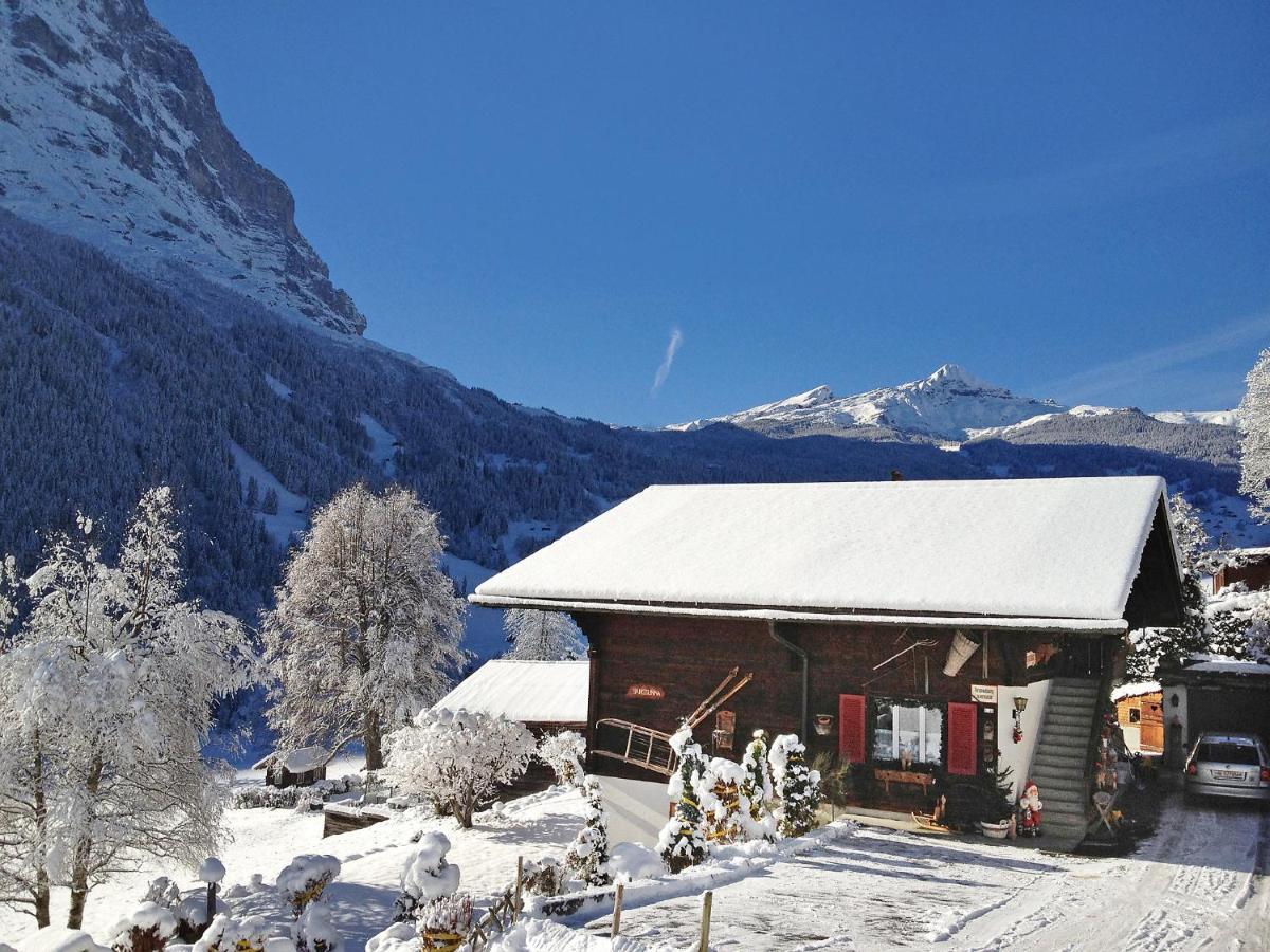 Apartment Chalet Bärgsunna-4 Grindelwald Extérieur photo