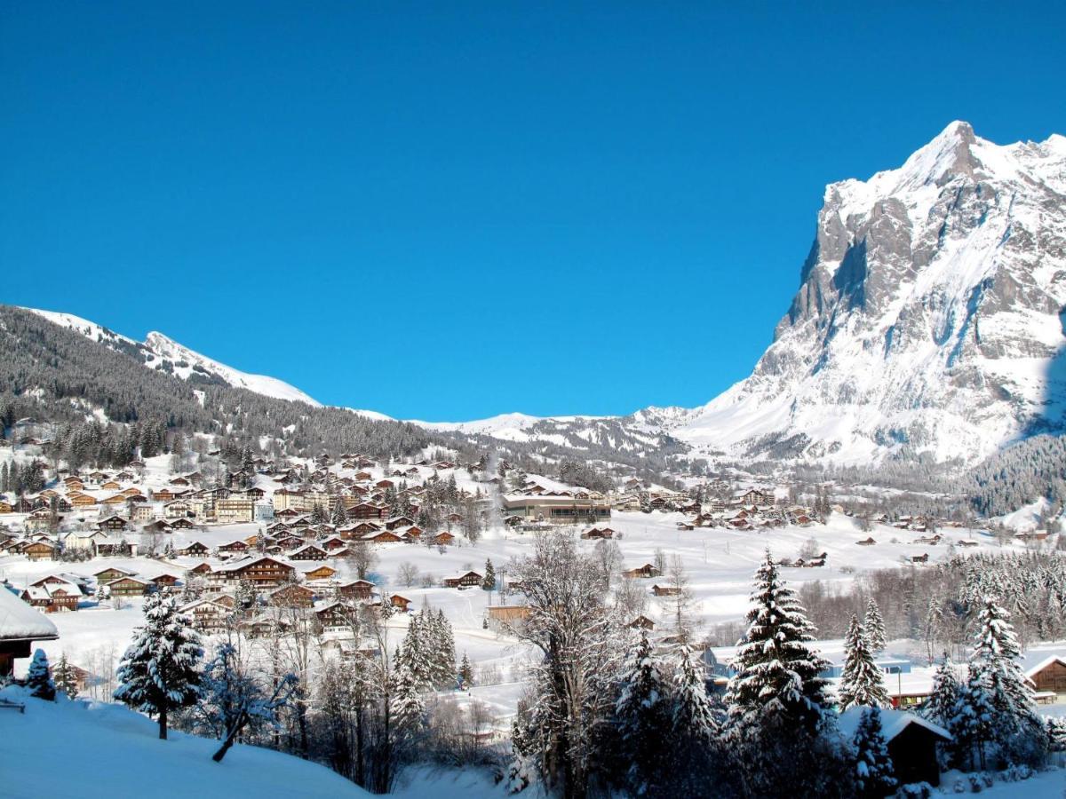Apartment Chalet Bärgsunna-4 Grindelwald Extérieur photo